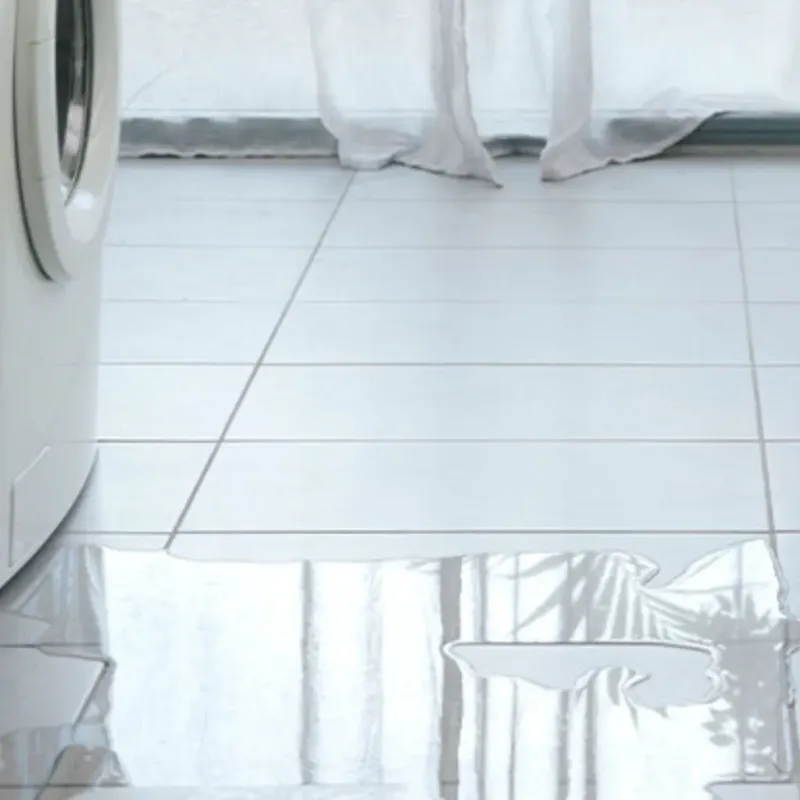 Appliance Leak Cleanup in Vienna, IL