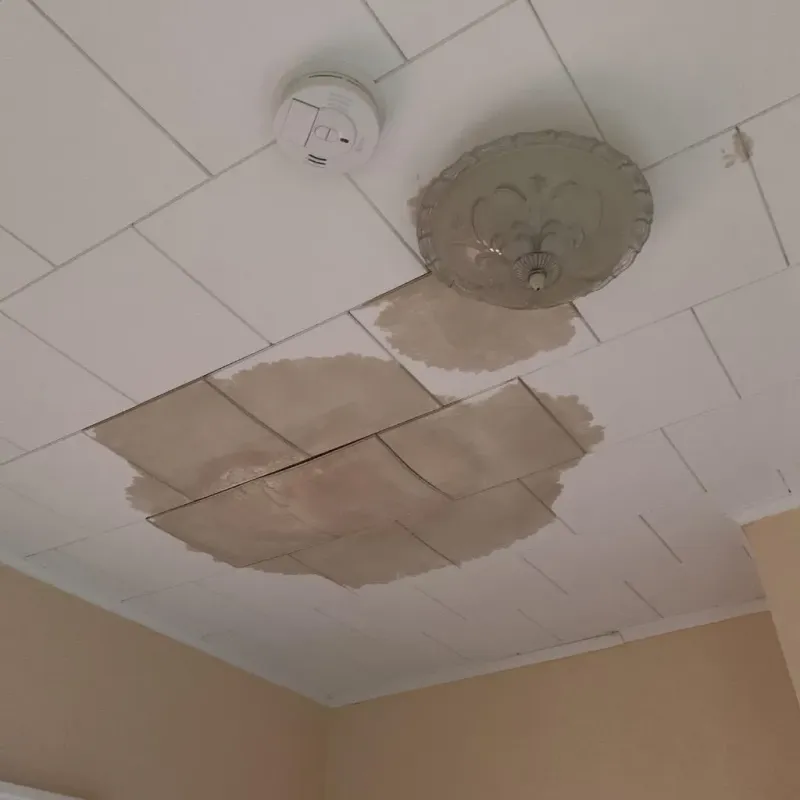 Ceiling Water Damage Repair in Vienna, IL