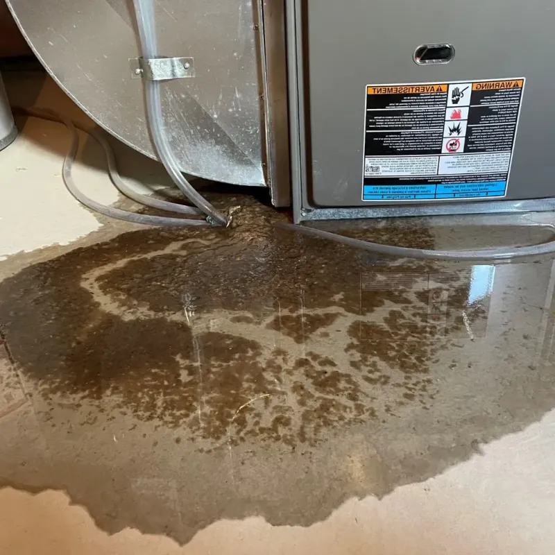 Pipe Burst and Leak Restoration in Vienna, IL