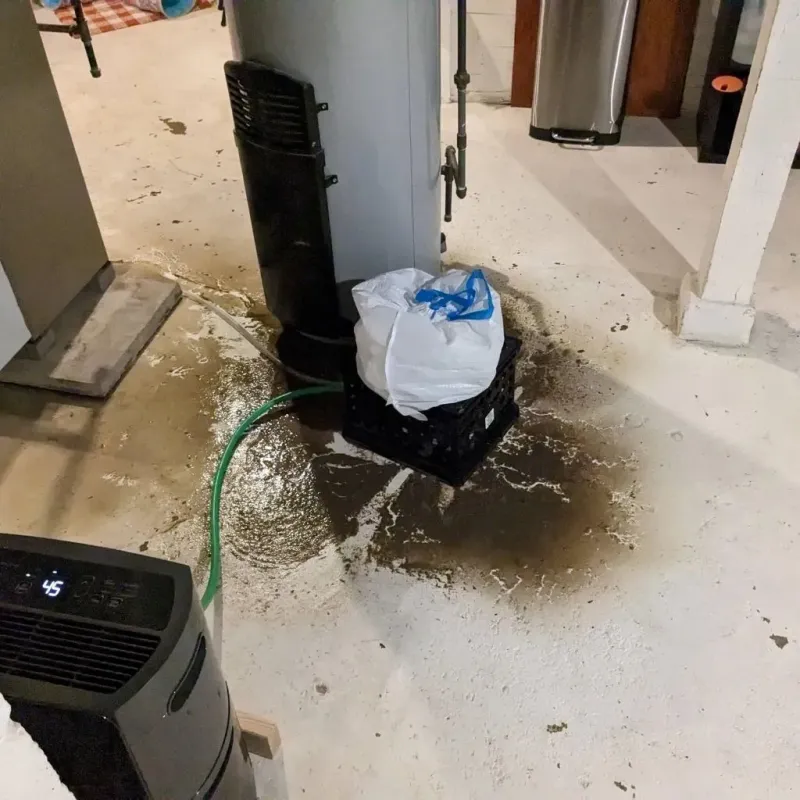 Sewage Backup Cleanup Service in Vienna, IL